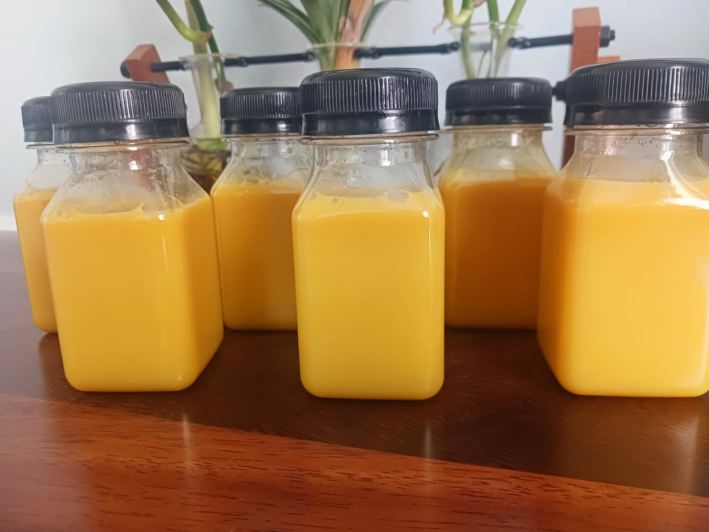 6 Pack Immunity Boost